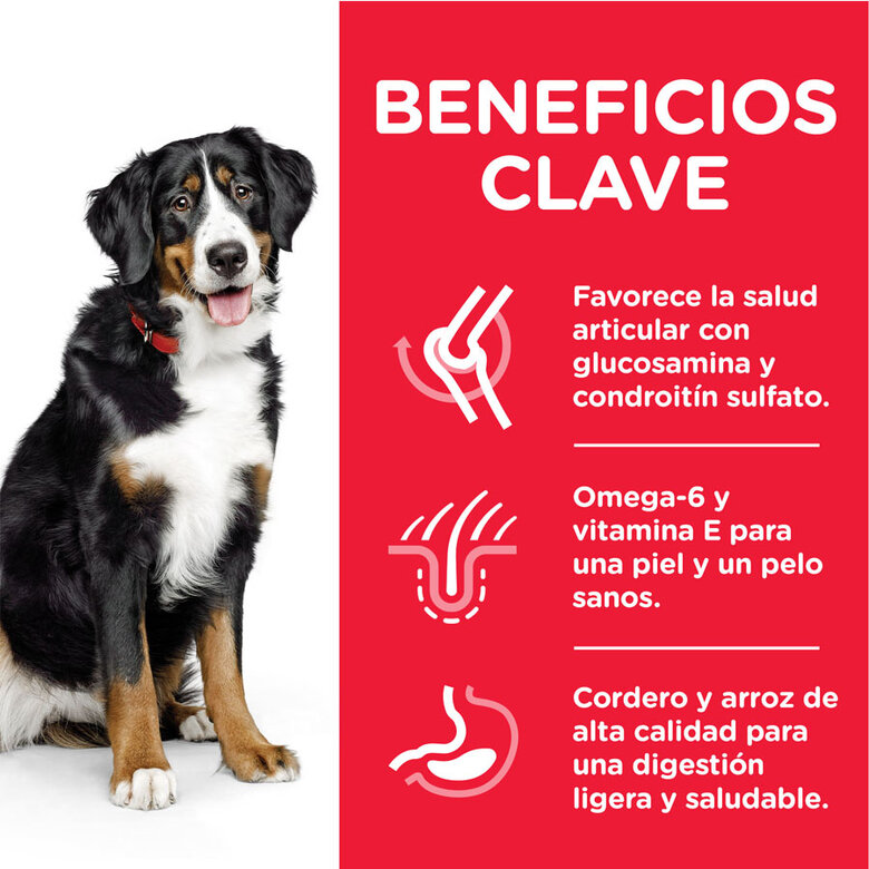 Hill's Science Plan Adult Large Cordero pienso para perros, , large image number null